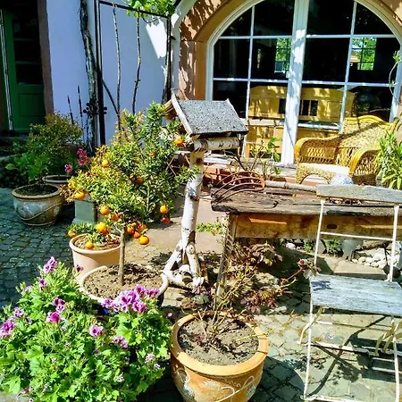 Appartement Oase Der Geborgenheit Venningen