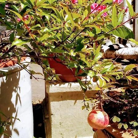 Appartement Oase Der Geborgenheit *