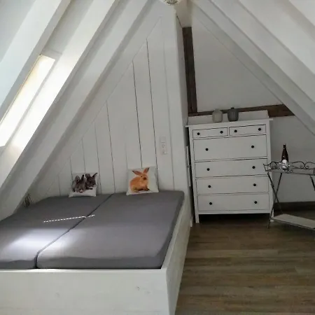 Oase Der Geborgenheit Apartamento *