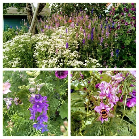 Apartment Oase Der Geborgenheit