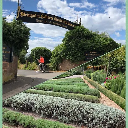 Oase Der Geborgenheit Apartment