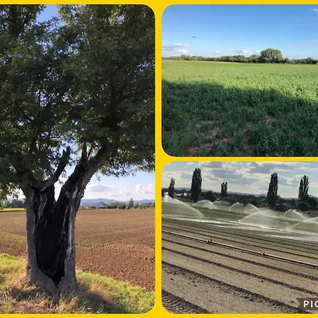 Oase Der Geborgenheit Apartamento