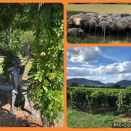 Apartamento Oase Der Geborgenheit Venningen