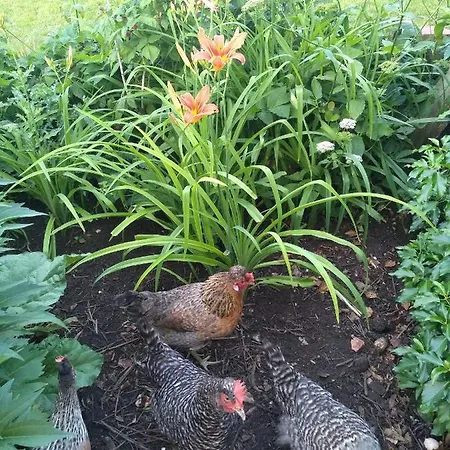 Oase Der Geborgenheit Apartment *