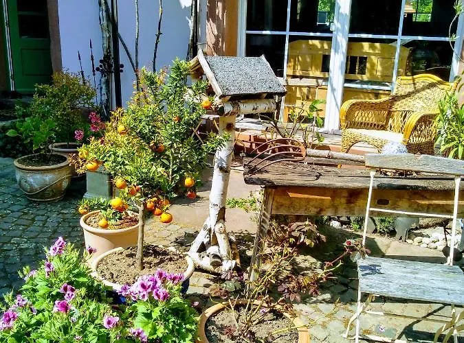 Apartamento Oase Der Geborgenheit Venningen