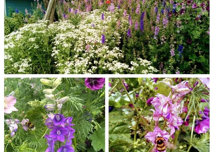 Apartamento Oase Der Geborgenheit