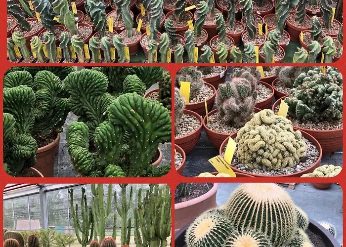 公寓 Oase Der Geborgenheit *