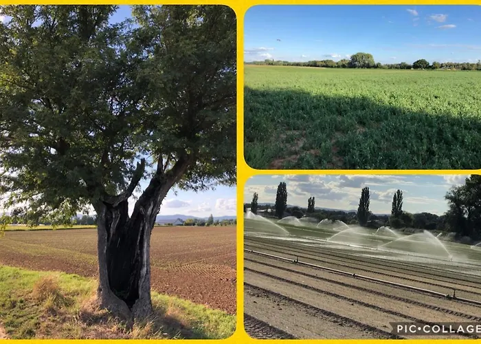 Oase Der Geborgenheit Apartamento