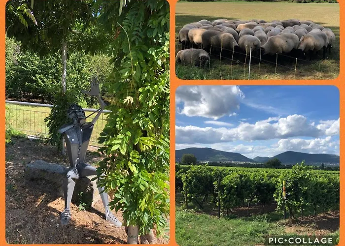 Apartamento Oase Der Geborgenheit Venningen