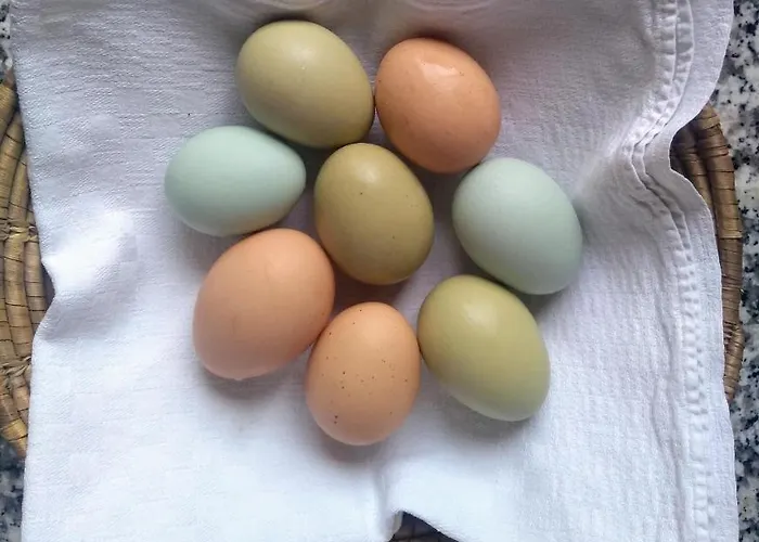 公寓 Oase Der Geborgenheit *