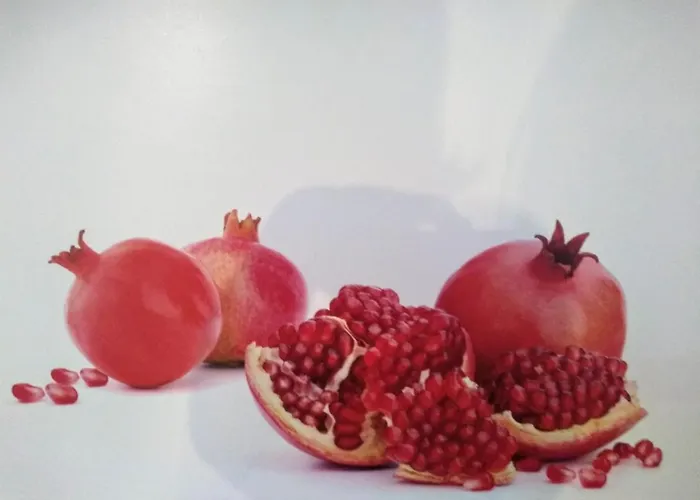 Oase Der Geborgenheit * Venningen